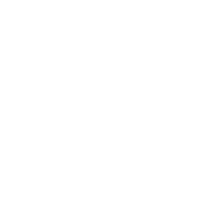 powerful and secured redaction