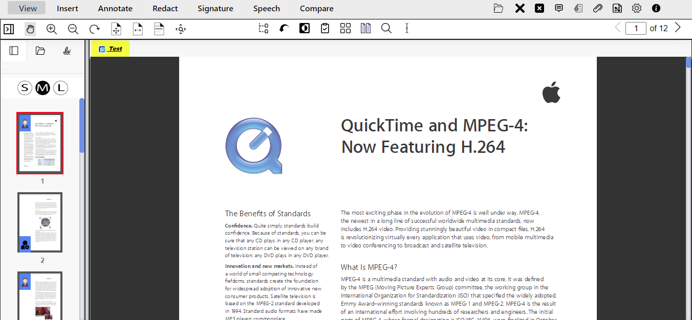 Example of Document Tab Styling